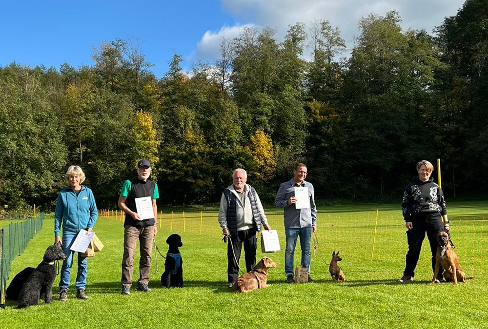 Hunderennen in Peißenberg