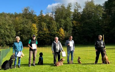 Hunderennen in Peißenberg