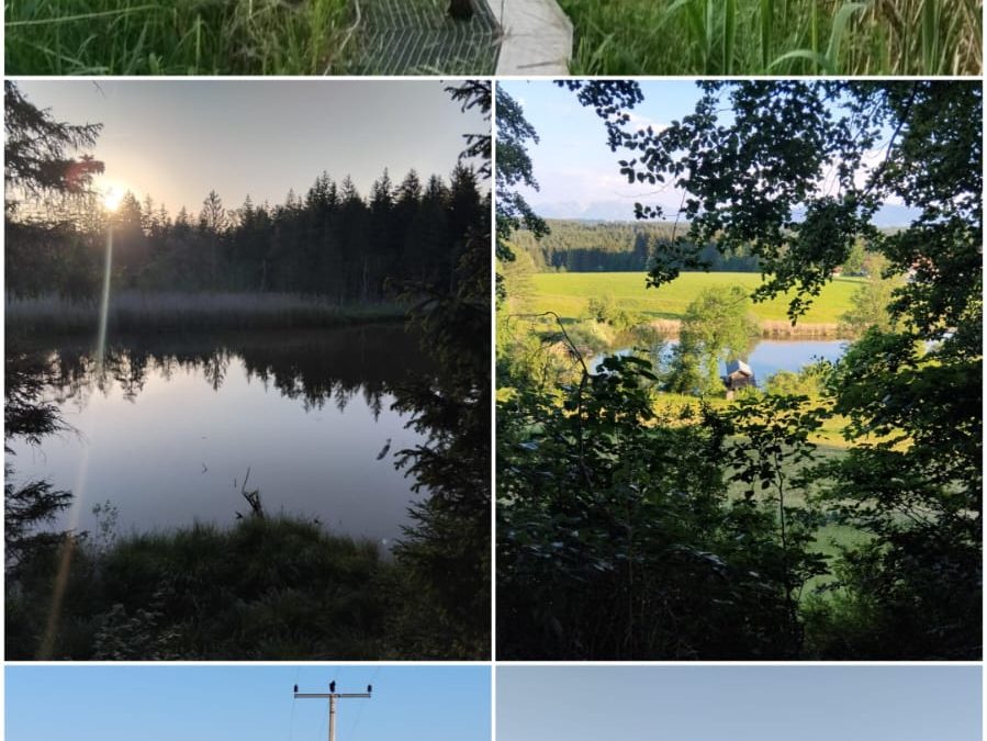 19.07.2026, Abteilung Weitwandern & Outdoor, Wanderung durchs Peißenberger Hinterland