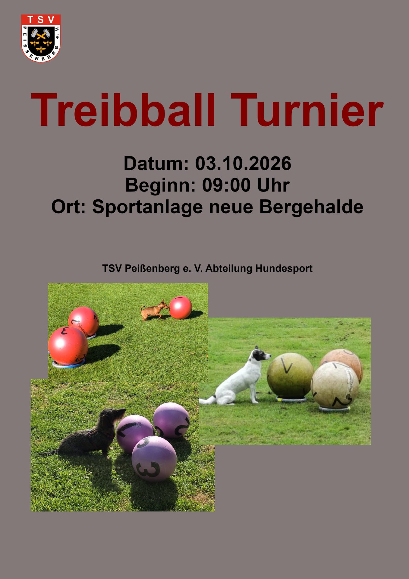 03102026_treibball_flyer_hundesport